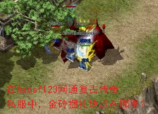 ��haosf123��ͨ���Ŵ���˽���У���ש�����ص������