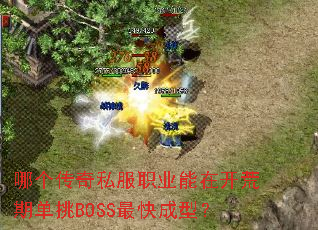 �ĸ�����˽��ְҵ���ڿ����ڵ���BOSS�����ͣ�