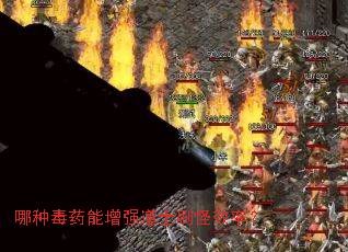 ���ֶ�ҩ����ǿ��ʿˢ��Ч�ʣ�