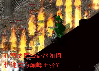 ����֮�۹������ο��ٳ�Ϊ�۷����ߣ�