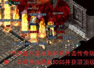 1.95��Ѫ�����Դ�����ϻ�������ռ����ԣ������ս����BOSS����ȡ����װ����