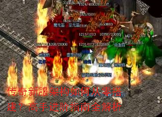 �����·��ܹ���δ��������ֽ���ָ��ȫ����