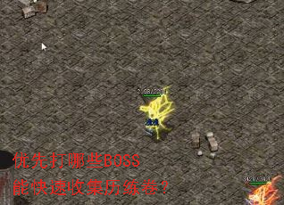 ���ȴ���ЩBOSS�ܿ����ռ���������