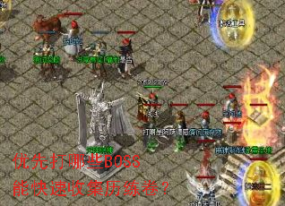 ���ȴ���ЩBOSS�ܿ����ռ���������