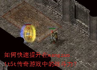 ��ο���������wangzuo.1t5t������Ϸ�е�ս������