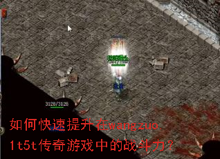 ��ο���������wangzuo.1t5t������Ϸ�е�ս������