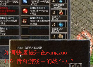 ��ο���������wangzuo.1t5t������Ϸ�е�ս������
