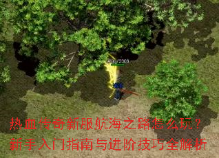 ��Ѫ�����·�����֮·��ô�棿��������ָ������׼���ȫ����