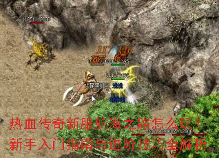��Ѫ�����·�����֮·��ô�棿��������ָ������׼���ȫ����