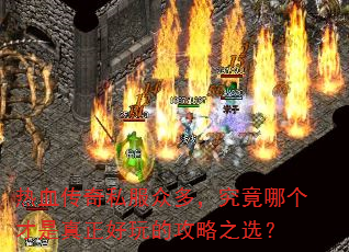 ��Ѫ����˽���ڶ࣬�����ĸ�������������Ĺ���֮ѡ��