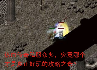 ��Ѫ����˽���ڶ࣬�����ĸ�������������Ĺ���֮ѡ��