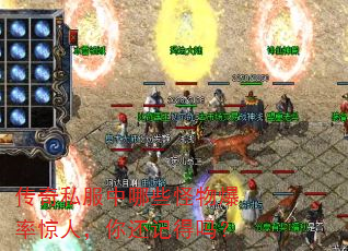 传奇私服中哪些怪物爆率惊人,你还记得吗? 传奇私服中哪些怪物爆率惊人,你还记得吗?