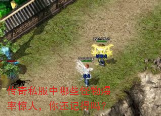 传奇私服中哪些怪物爆率惊人,你还记得吗? 传奇私服中哪些怪物爆率惊人,你还记得吗?