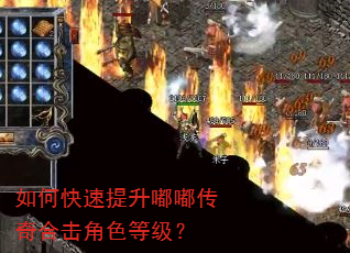 如何快速提升嘟嘟传奇合击角色等级? 如何快速提升嘟嘟传奇合击角色等级?