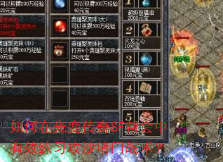 如何在光变传奇SF帮会中有效练习攻沙堵门战术? 如何在光变传奇SF帮会中有效练习攻沙堵门战术?