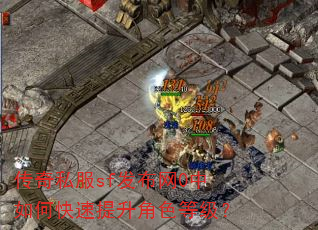 传奇私服sf发布网0中如何快速提升角色等级? 传奇私服sf发布网0中如何快速提升角色等级?