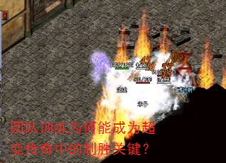 团队训练为何能成为超变传奇中的制胜关键? 团队训练为何能成为超变传奇中的制胜关键?