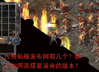 传奇私服发布网有几个?新手如何选择最适合的版本? 传奇私服发布网有几个?新手如何选择最适合的版本?
