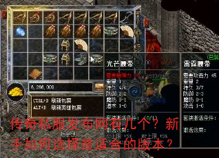 传奇私服发布网有几个?新手如何选择最适合的版本? 传奇私服发布网有几个?新手如何选择最适合的版本?