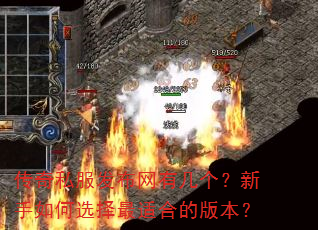 传奇私服发布网有几个?新手如何选择最适合的版本? 传奇私服发布网有几个?新手如何选择最适合的版本?