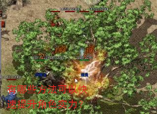 有哪些方法可以快速提升角色实力? 有哪些方法可以快速提升角色实力?