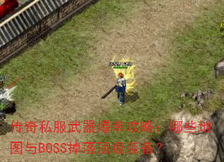 ����˽���������ʹ��ԣ���Щ��ͼ��BOSS���䶥��װ����