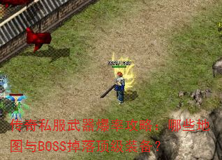 ����˽���������ʹ��ԣ���Щ��ͼ��BOSS���䶥��װ����