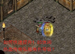 如何快速提升1.85休闲热血传奇私服角色等级? 如何快速提升1.85休闲热血传奇私服角色等级?