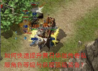 如何快速提升黄日华版传奇私服角色等级与获取顶级装备? 如何快速提升黄日华版传奇私服角色等级与获取顶级装备?