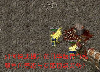 如何快速提升黄日华版传奇私服角色等级与获取顶级装备? 如何快速提升黄日华版传奇私服角色等级与获取顶级装备?