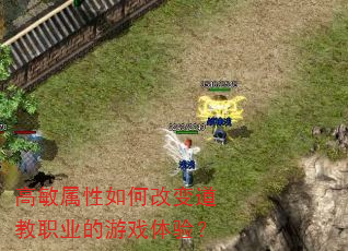 高敏属性如何改变道教职业的游戏体验? 高敏属性如何改变道教职业的游戏体验?