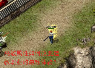 高敏属性如何改变道教职业的游戏体验? 高敏属性如何改变道教职业的游戏体验?