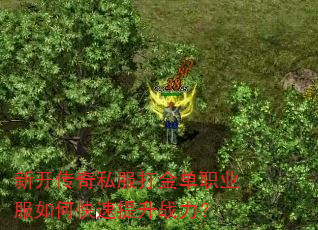 新开传奇私服打金单职业服如何快速提升战力? 新开传奇私服打金单职业服如何快速提升战力?