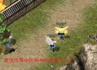 最强传奇中的狗书究竟是什么? 最强传奇中的狗书究竟是什么?