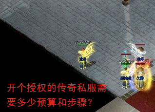 ������Ȩ�Ĵ���˽����Ҫ����Ԥ��Ͳ��裿
