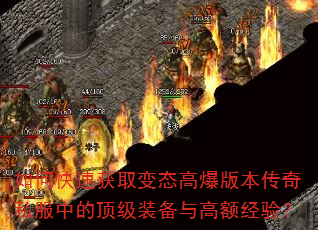 ��ο��ٻ�ȡ��̬�߱��汾����˽���еĶ���װ����߶�飿