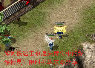 如何快速击杀迷失传奇中的骷髅精灵?限时挑战攻略分享 如何快速击杀迷失传奇中的骷髅精灵?限时挑战攻略分享