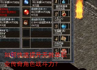 如何快速提升无赦单职业传奇角色战斗力? 如何快速提升无赦单职业传奇角色战斗力?