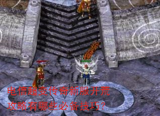 ���ų��䴫���·����Ĺ�������Щ�ر����ɣ�
