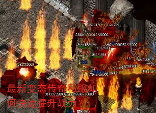 ���±�̬����˽����ο�������ս����