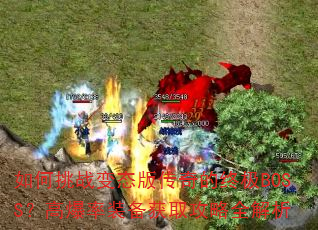 �����ս��̬�洫����ռ�BOSS���߱���װ����ȡ����ȫ����