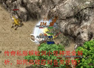 传奇私服蜈蚣洞小怪种类全解析,如何高效应对各类怪物? 传奇私服蜈蚣洞小怪种类全解析,如何高效应对各类怪物?