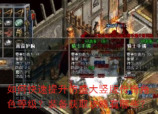 如何快速提升仿盛大竖版传奇角色等级?装备获取攻略有哪些? 如何快速提升仿盛大竖版传奇角色等级?装备获取攻略有哪些?