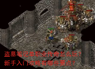 盗墓笔记单职业传奇怎么玩?新手入门攻略有哪些要点? 盗墓笔记单职业传奇怎么玩?新手入门攻略有哪些要点?