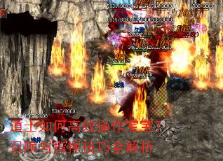 道士如何高效操作宝宝?召唤与指挥技巧全解析 道士如何高效操作宝宝?召唤与指挥技巧全解析