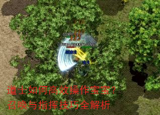 道士如何高效操作宝宝?召唤与指挥技巧全解析 道士如何高效操作宝宝?召唤与指挥技巧全解析