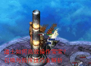道士如何高效操作宝宝?召唤与指挥技巧全解析 道士如何高效操作宝宝?召唤与指挥技巧全解析