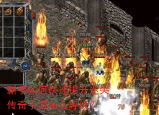 新手如何快速提升迷失传奇手游角色等级? 新手如何快速提升迷失传奇手游角色等级?