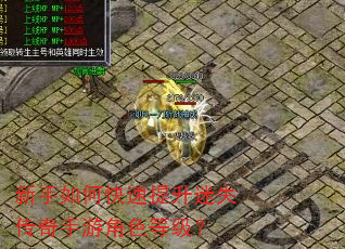 新手如何快速提升迷失传奇手游角色等级? 新手如何快速提升迷失传奇手游角色等级?